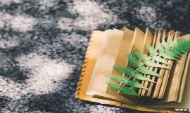 癌痛的用药及治疗(六)